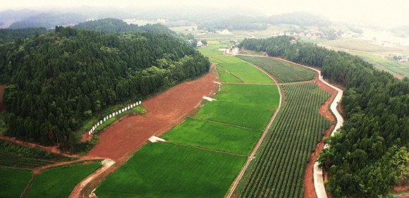 遂宁市安居区最新发展动态